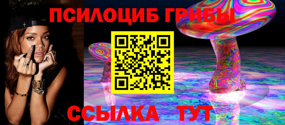 Псилоцибиновые грибы мицелий Гурьевск