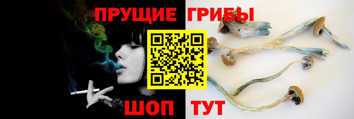 цены   Галлюциногенные грибы прущие грибы  Вход с VPN  Гурьевск 
